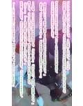 【大団円】星のジナンドロモーフ・シスターズ【描き下ろし小説】
