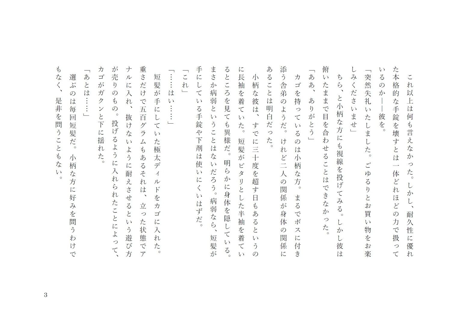 大人玩具検品部門 サンプル3