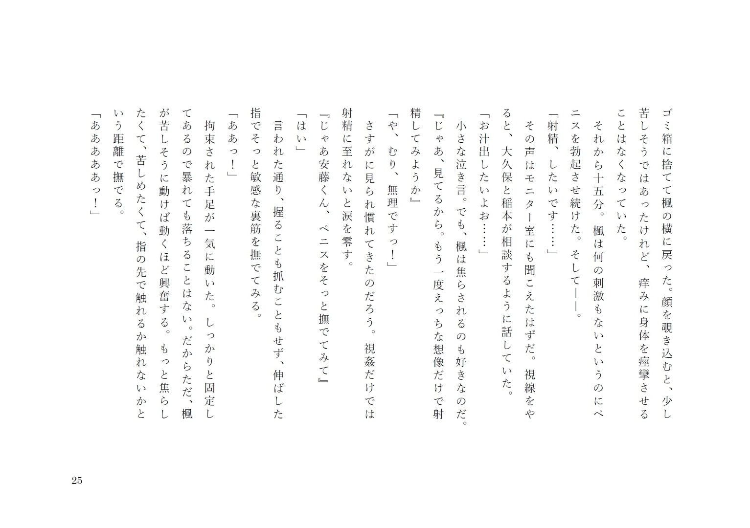 大人玩具検品部門 サンプル10