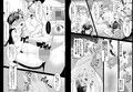 青いつぼみが咲く前に