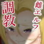 エルフ底辺奴●へと堕ちる～調教編