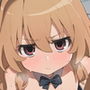 とらドラ！のエロ本2