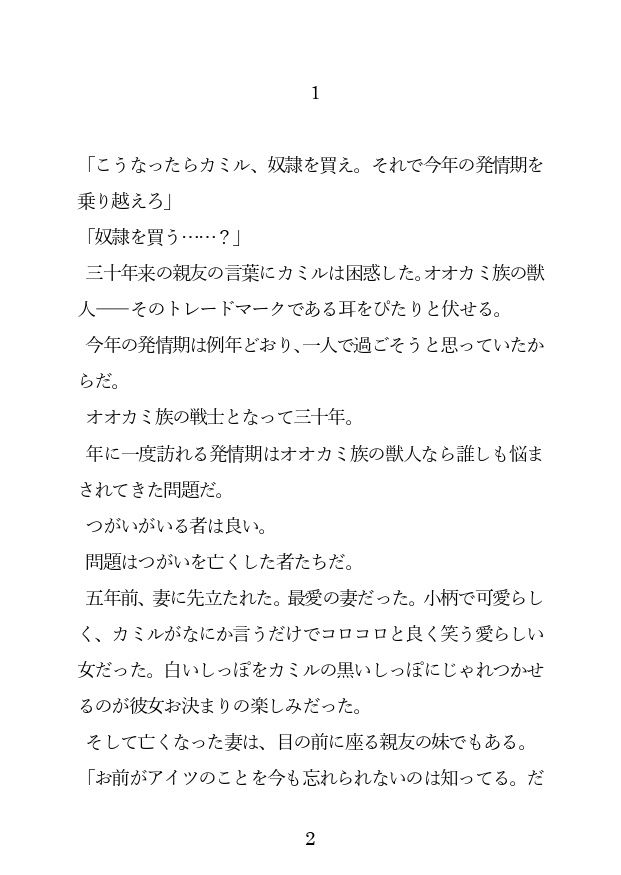 チョロ甘ご主人に買われたので、アナルを徹底調教しようと思いますのサンプル画像2