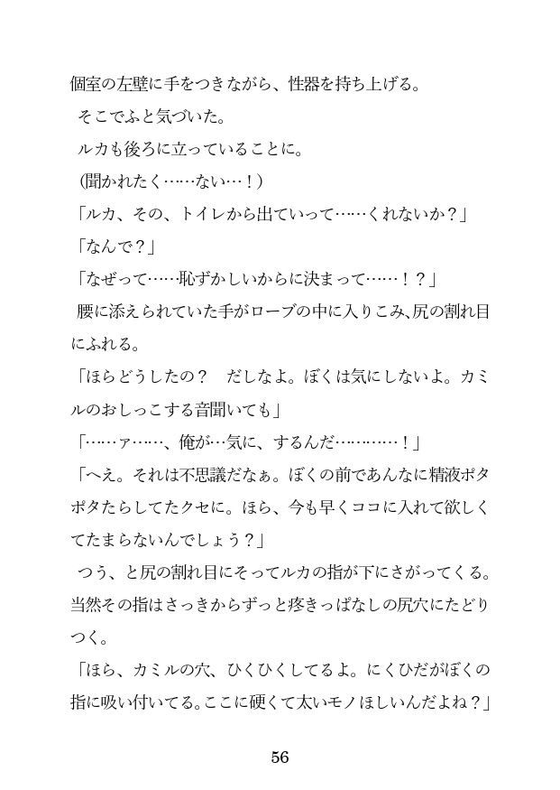 チョロ甘ご主人に買われたので、アナルを徹底調教しようと思いますのサンプル画像4