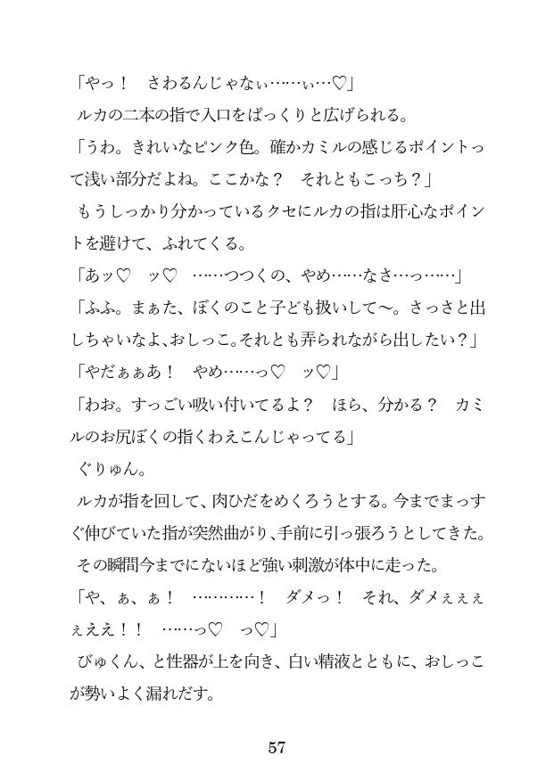 チョロ甘ご主人に買われたので、アナルを徹底調教しようと思いますのサンプル画像5