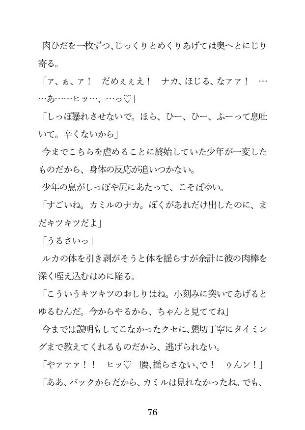 チョロ甘ご主人に買われたので、アナルを徹底調教しようと思いますのサンプル画像6