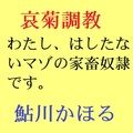 哀菊調教 わたし、マゾの家畜奴●なんです 画像1