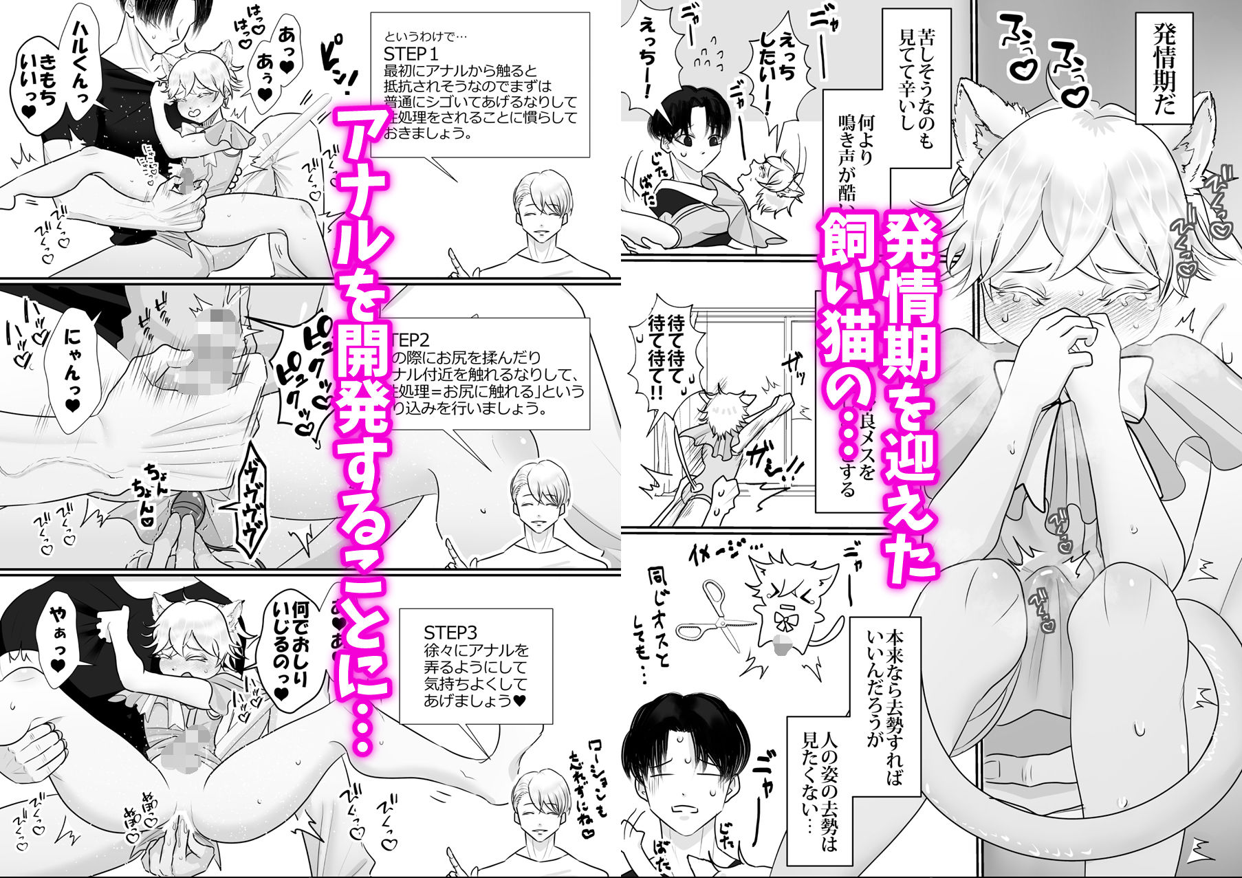 うちの飼い猫♂が発情期を迎えまして画像no.1