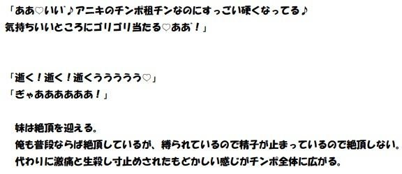 ヤリマン妹に逆●●プされて童貞を奪われた（その後、バイブ代わりの性奴●にな...のサンプル画像8