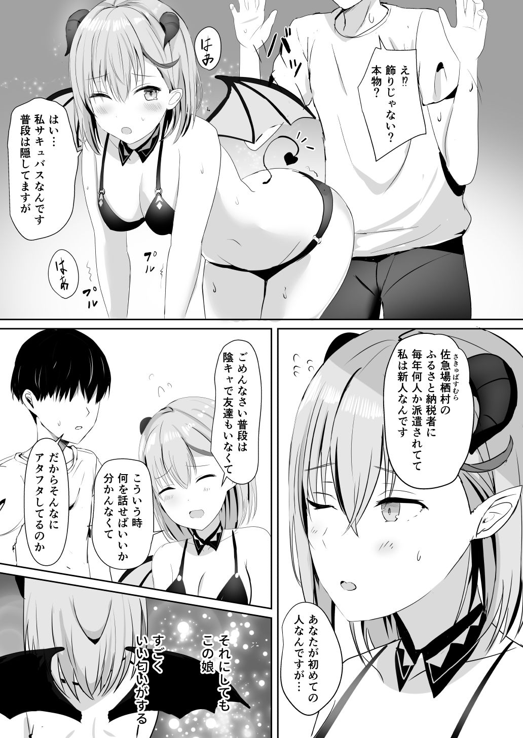 ふるさと納税したら陰キャなサキュバスが返礼されました画像no.6