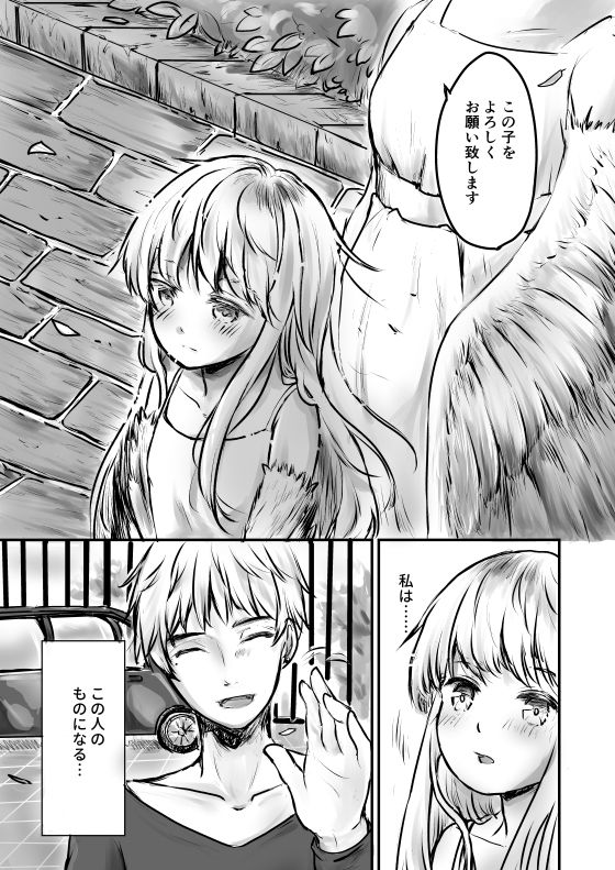 鳥人奴●、買われる。画像no.2