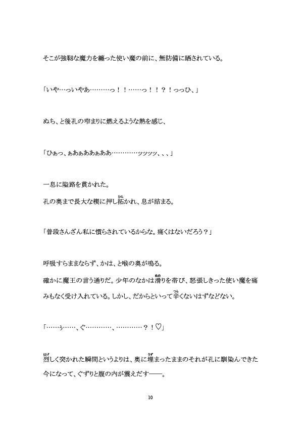●●勇者調教―魔王とその使い魔たち―