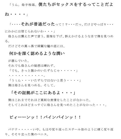 母子相姦のすすめ 母さんの帰宅を待つ僕の元に時空を超え届けられた不思議な文書_3