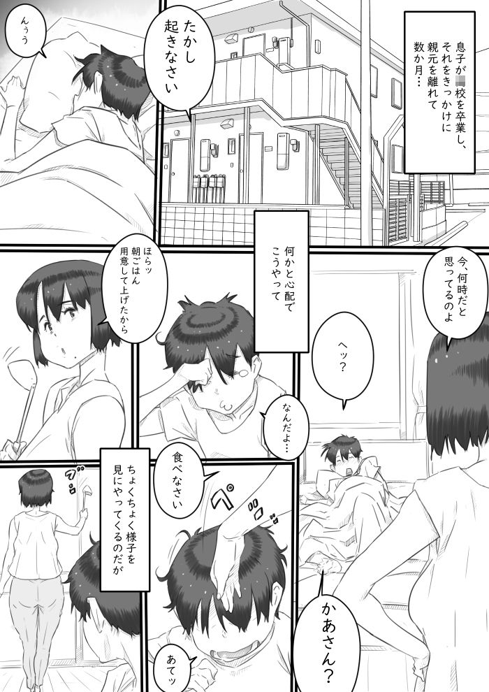 一人暮らしの息子の部屋で…‐母と息子の秘密の関係‐ 画像2