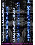 裏・総合格闘技4 ミックスファイト 〜おっぱいに全て潰される〜