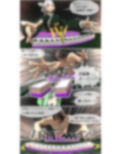 脱衣雀士タケル この漫画は麻雀漫画ではありません