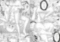 あらぶる〜第2王女総集編2〜