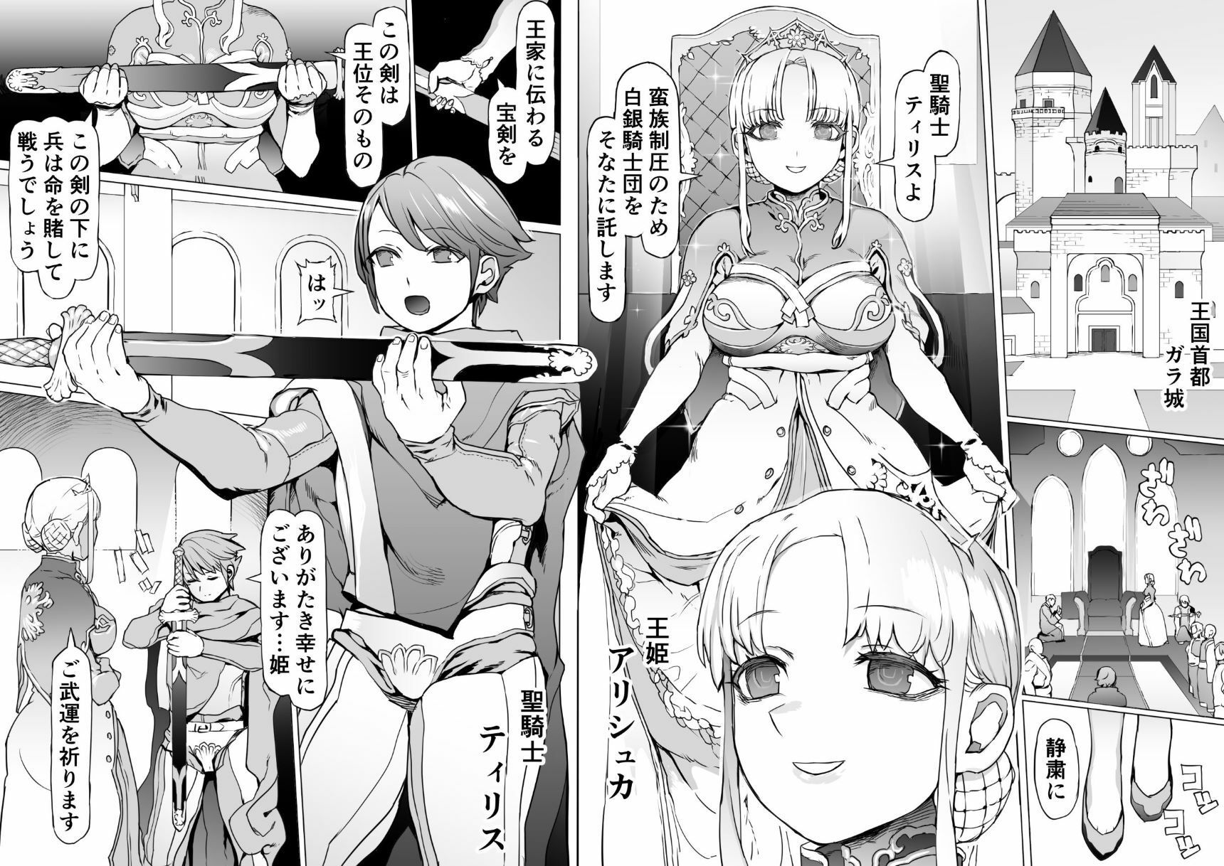 王となる者〜王姫調教録〜_3