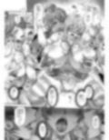 モリヤ搾精録