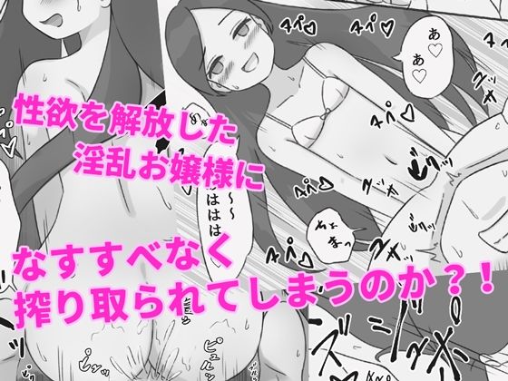 清楚系お嬢様とヤってみる_4