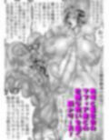 SHADOW DEVIL FIGHT.1