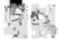 母で教育
