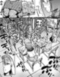玉髄IV