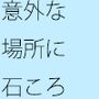 意外な場所で見つけた綺麗な石ころ