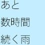 あと数時間は続きそうな雨
