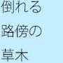 【無料】疲れ果ててもなお道は続く 路傍の草木