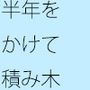 半年をかけて揃いあげる積み木のビル