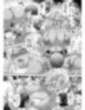 フタ菊2