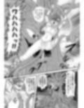 フェアリィセイバーVOL11