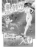 フェアリィセイバーVOL10改