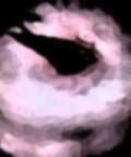 私の蟲姦遊び 18話 妊娠中に5 匹のミズアブの幼虫編