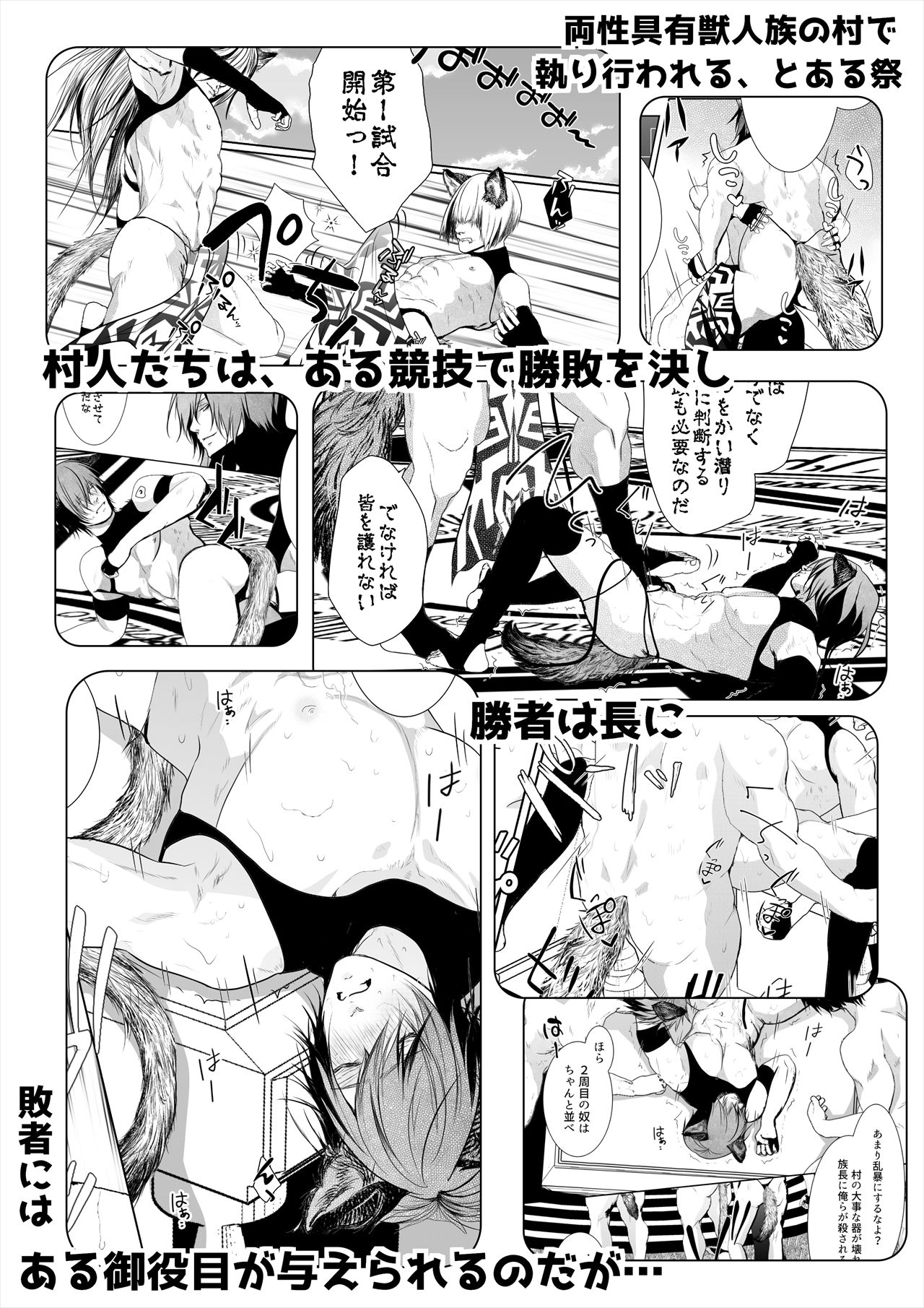 サンプル画像