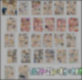 包茎モカのふたなりコンパニオン 〜ふるちん晒して羞恥アルバイト！〜
