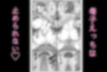 僕は母にガチ恋してる1