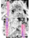 メス堕ち傭兵花嫁調教YESと言うまで性玩具責め 画像8