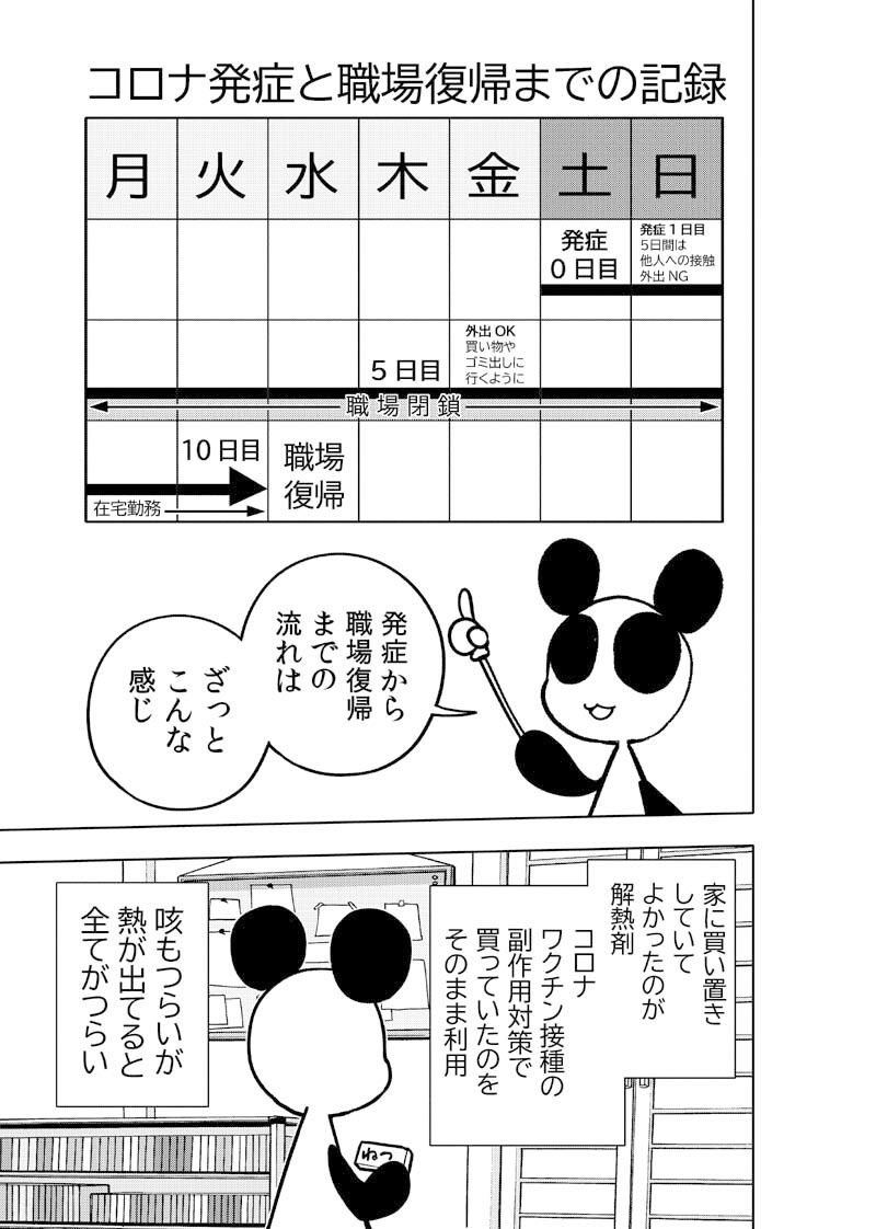 コロナウイルスと過ごす日常〜コロナになったよ記録〜 画像6