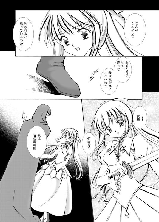 姫様は、魔術師の操り人形 11