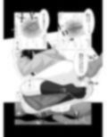 ED専門病院で好みのふたなりに治療してもらう話