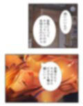 旦那に黙って近所の男と肉体関係を結ぶ移住妻 4巻
