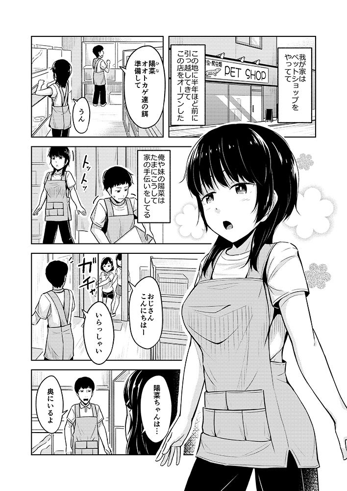 寡黙な妹は今日もセックスしてくれる1