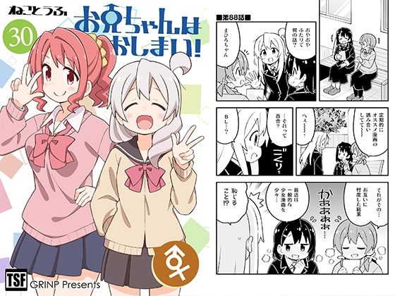 【GRINP】同人誌シリーズ第30巻『お兄ちゃんはおしまい！30』