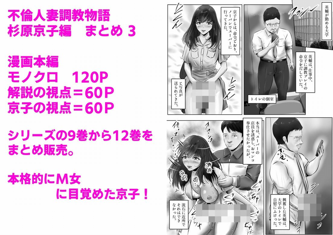 不倫人妻調教物語 杉原京子編 まとめ（3） 画像1