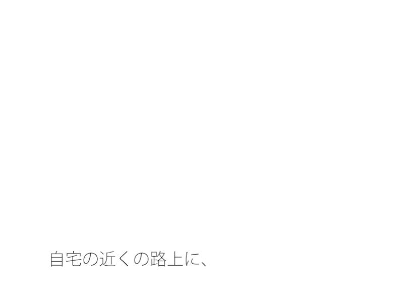 たまに尖っている路上の石ころ どのように咀嚼（そしゃく）をして