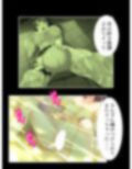 セクシートラップチャレンジ！出資者に弄ばれる女たち 下