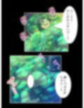 セクシートラップチャレンジ！出資者に弄ばれる女たち 下
