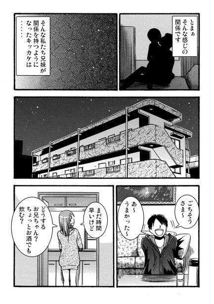 兄と私の壊れた日常3